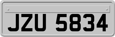 JZU5834