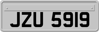 JZU5919