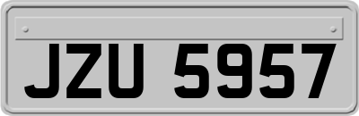 JZU5957