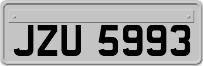 JZU5993