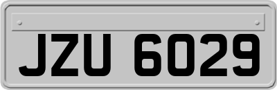 JZU6029
