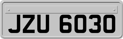 JZU6030
