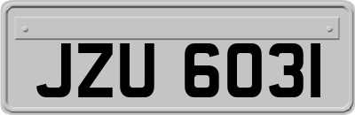 JZU6031