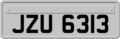 JZU6313