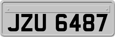JZU6487