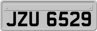 JZU6529