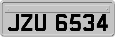 JZU6534