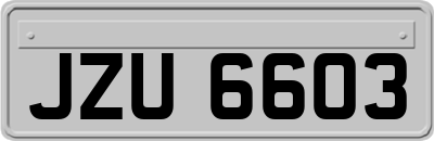 JZU6603
