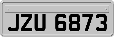 JZU6873