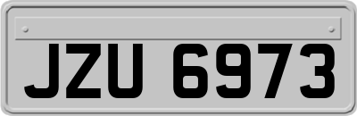 JZU6973