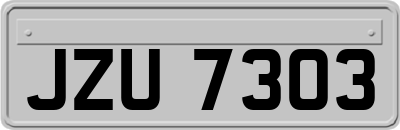 JZU7303