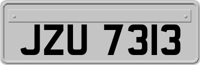 JZU7313