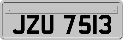 JZU7513