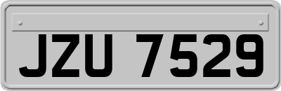 JZU7529