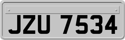 JZU7534