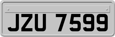 JZU7599