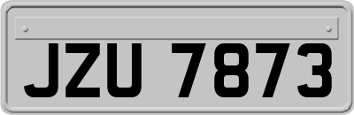 JZU7873