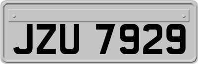 JZU7929