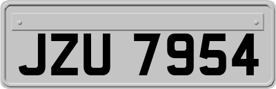 JZU7954