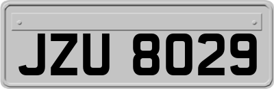 JZU8029