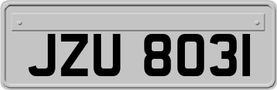 JZU8031