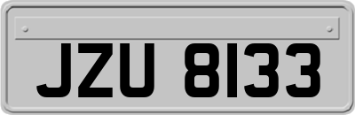 JZU8133