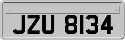JZU8134