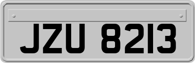 JZU8213