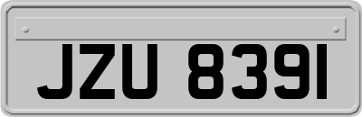JZU8391