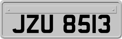 JZU8513