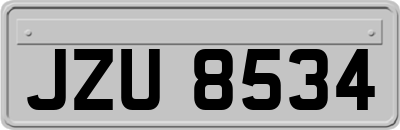 JZU8534