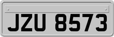 JZU8573