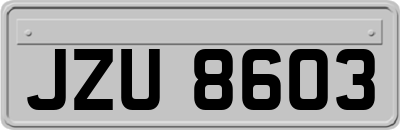 JZU8603