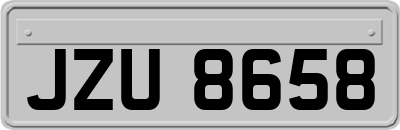 JZU8658