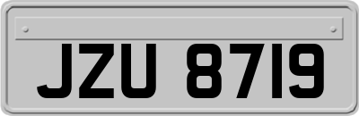 JZU8719
