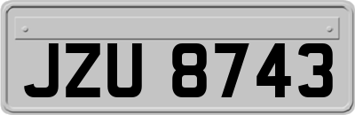 JZU8743