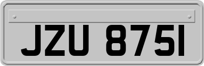 JZU8751