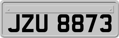 JZU8873