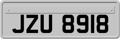 JZU8918