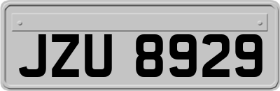 JZU8929