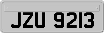 JZU9213