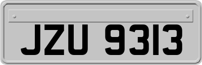 JZU9313