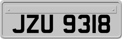 JZU9318