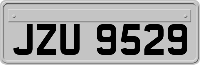 JZU9529
