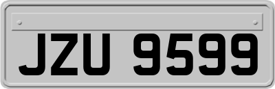 JZU9599