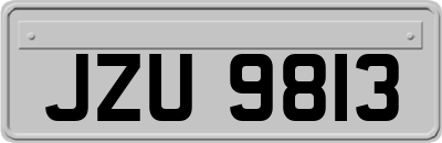 JZU9813