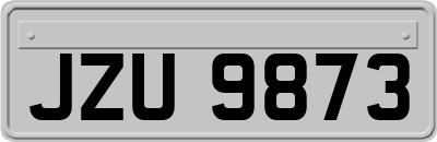 JZU9873