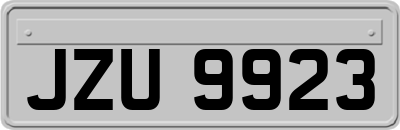 JZU9923