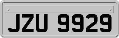 JZU9929