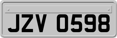 JZV0598